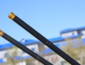 船上钓鱼竿钓鲫鱼技巧有哪些？如何提高钓鲫鱼的成功率？
