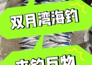 航海热线钓鱼技巧有哪些？如何提高钓鱼成功率？