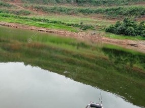 拔山涉水钓鱼技巧有哪些？如何应对各种钓鱼环境？