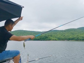 以假饵台钓鲫鱼的绝妙技巧（掌握这些技巧）