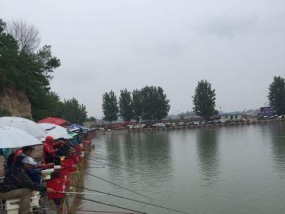 北方黑坑垂钓技巧有哪些？如何提高钓获率？