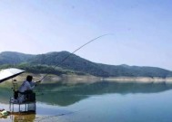 冬天河流钓鱼技巧是钓底吗？如何提高冬季钓鱼成功率？