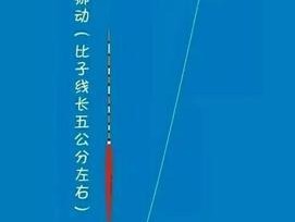 钓鱼免调漂技巧教程？如何快速掌握免调漂钓法？
