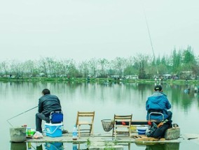 黑坑水质浑钓鱼技巧（有效应对水质浑浊）