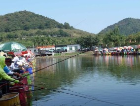 黑坑钓鱼技巧（教你如何在黑坑钓鱼时选择和使用开饵）