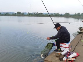冬季鱼池钓鱼的技巧与方法（寒冬垂钓）
