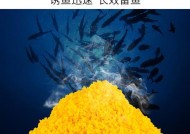 以鱼饵打窝的最佳方法和技巧（提升钓鱼效果的窍门与经验）
