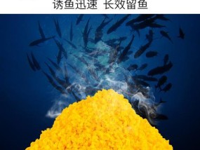 以鱼饵打窝的最佳方法和技巧（提升钓鱼效果的窍门与经验）