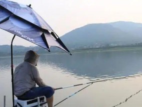 如何掌握钓鱼连杆爆护技巧？连杆爆护的秘诀是什么？