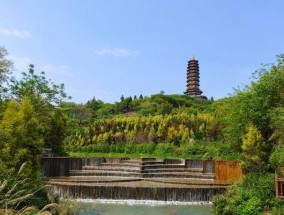 以甸溪河钓鱼技巧和方法（掌握钓鱼技巧，享受乐趣）