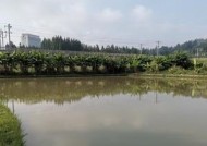 冬季钓鱼如何选择最佳钓位和时间？有哪些技巧？