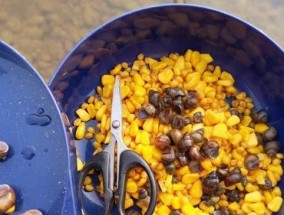 钓鱼中剩饵的巧妙运用技巧（提升钓鱼效果的灵活利用方法）