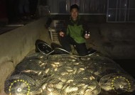 排污口钓鱼技巧（探秘高效捕捞方法）