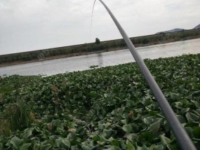 广东初夏咸淡水钓鱼技巧（探秘广东初夏咸淡水钓鱼的窍门和技巧）
