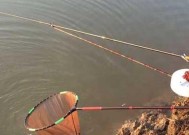 钓鱼黑坑抛竿技巧与方法（有效提升钓鱼成功率的实用技术与策略）