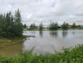 海水闸口钓鱼技巧和方法有哪些？如何提高钓鱼成功率？