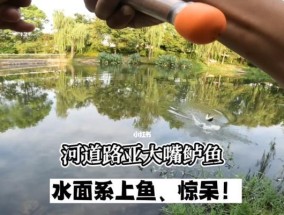 野外钓大嘴鲈鱼的技巧与方法（深入了解大嘴鲈鱼的特点）