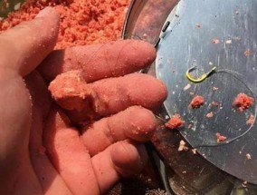 白露时节钓鲢鳙有什么技巧？如何提高钓鲢鳙的成功率？