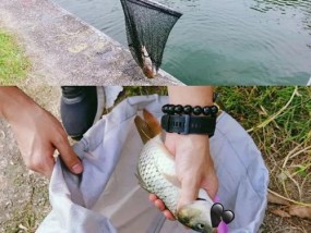 掌握这些钓鱼技巧，提高钓鱼成功率（实用技巧助您成为钓鱼高手）