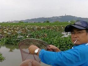 钓甲鱼技巧大揭秘（成为钓甲鱼高手的终极指南）