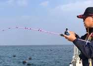 海竿钓鱼技巧全过程是怎样的？如何提高钓鱼效率？