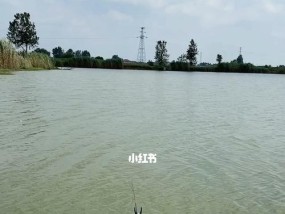 带小弟钓鱼技巧有哪些？如何教新手快速上手？