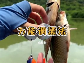 无浮漂钓鱼的技巧与方法（提高钓鱼成功率的关键技巧及实用经验）