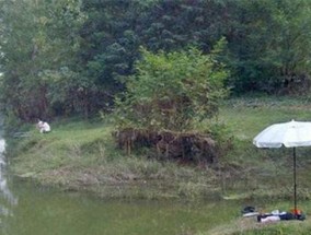白露过后下雨钓鱼技巧是什么？如何提高钓鱼成功率？