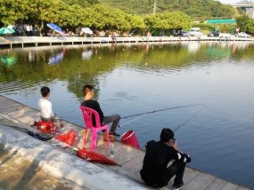 大虾水库钓鱼技巧法有哪些？如何提高钓鱼成功率？