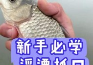 如何掌握钓鱼看漂技巧？看漂技巧有哪些常见问题？