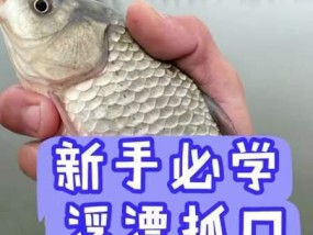 如何掌握钓鱼看漂技巧？看漂技巧有哪些常见问题？