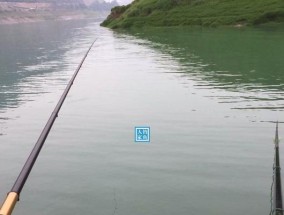 钓鱼新手如何轻松中大鱼（掌握这些技巧，成为钓鱼高手）