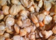 冬季玉米钓鱼的方法和技巧是什么？如何提高冬季玉米钓鱼的成功率？