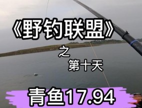丹江口江边钓鱼技巧有哪些？如何提高钓鱼成功率？