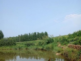 野外流水河流钓鱼技巧（掌握流水河流钓鱼的诀窍）