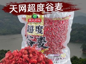 冬天谷麦野钓鲤鱼技巧有哪些？如何提高冬季野钓鲤鱼的成功率？