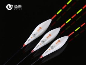 钓鱼技巧（通过掌握鱼漂的动态，提高钓鱼成功率）