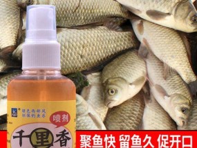 如何快速聚鱼？掌握钓鱼打窝的高效技巧！