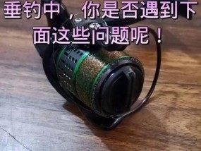 手竿流水滑漂钓鱼技巧（享受钓鱼乐趣的必备指南）