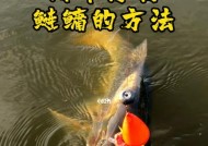 海竿水库钓鱼打窝技巧是什么？如何正确打窝提高钓鱼成功率？