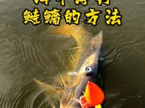海竿水库钓鱼打窝技巧是什么？如何正确打窝提高钓鱼成功率？
