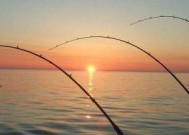 海竿钓鱼技巧教程？如何提高海竿钓鱼的成功率？