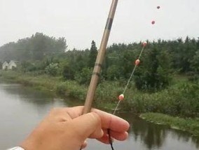 如何掌握钓鱼遛鱼技巧？遛鱼过程中常见的问题有哪些？