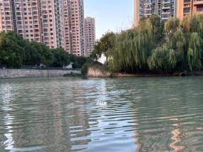 家岭大桥钓鱼技巧（技巧丰富）