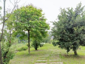 小溪河钓鱼技巧教程（掌握钓鱼技巧）