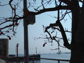 大爷海港钓鱼技巧教学？如何提高钓鱼成功率？