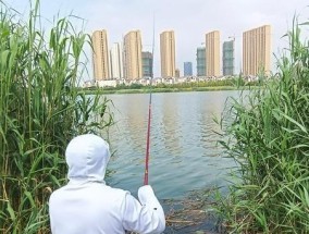 丹江钓鱼绝密技巧是什么？如何提高钓鱼成功率？