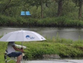 淤泥塘钓鱼技巧教程（掌握湿地塘钓技巧）