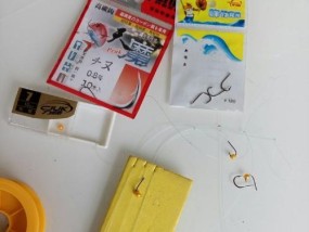 钓鱼技巧大全（传授高手的心得与经验）