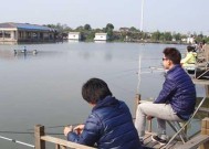 寒露过后如何在黑坑钓鱼？掌握哪些技巧能提高成功率？